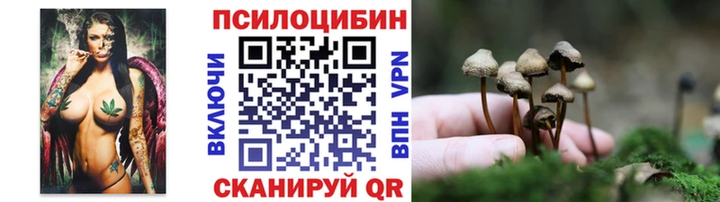 Галлюциногенные грибы мицелий  Заозёрск 